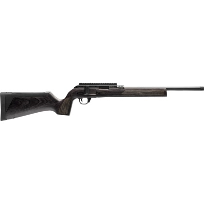 WALTHER HAMMERLI FORCE B1 22LR