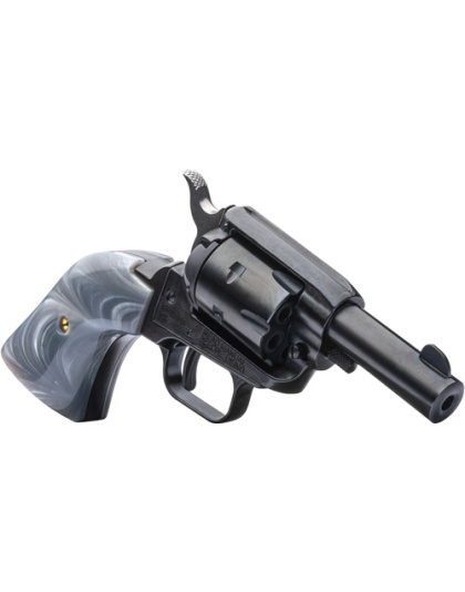 HERITAGE BARKEEP 22LR FS 2"